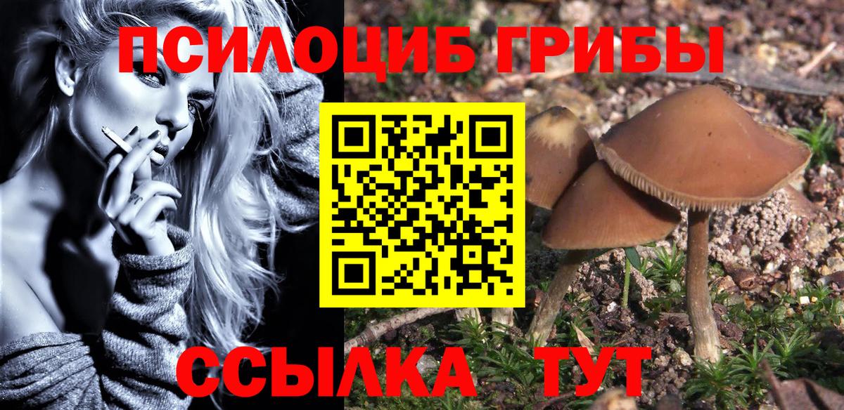 Псилоцибиновые грибы мицелий Шатура
